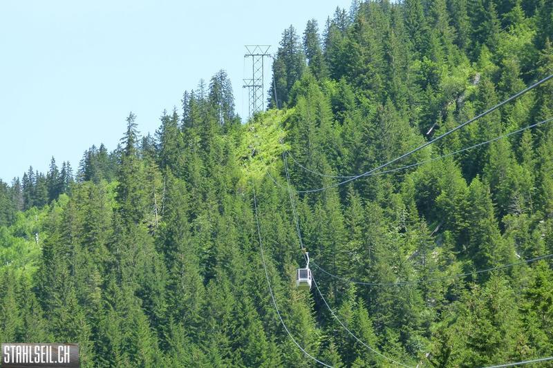 k-P1390011.JPG