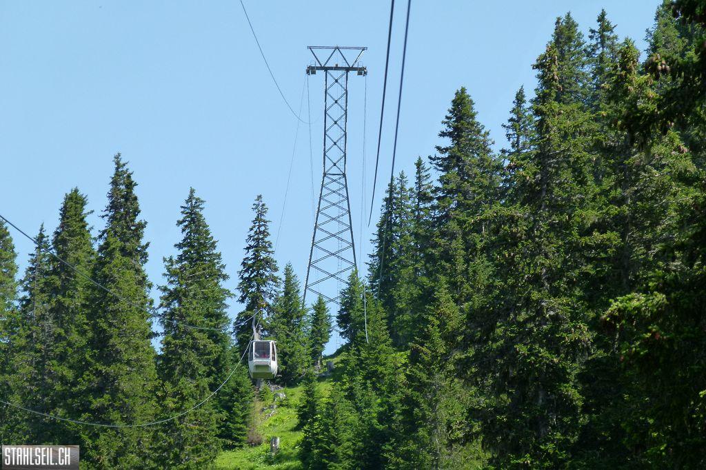 k-P1390034.JPG