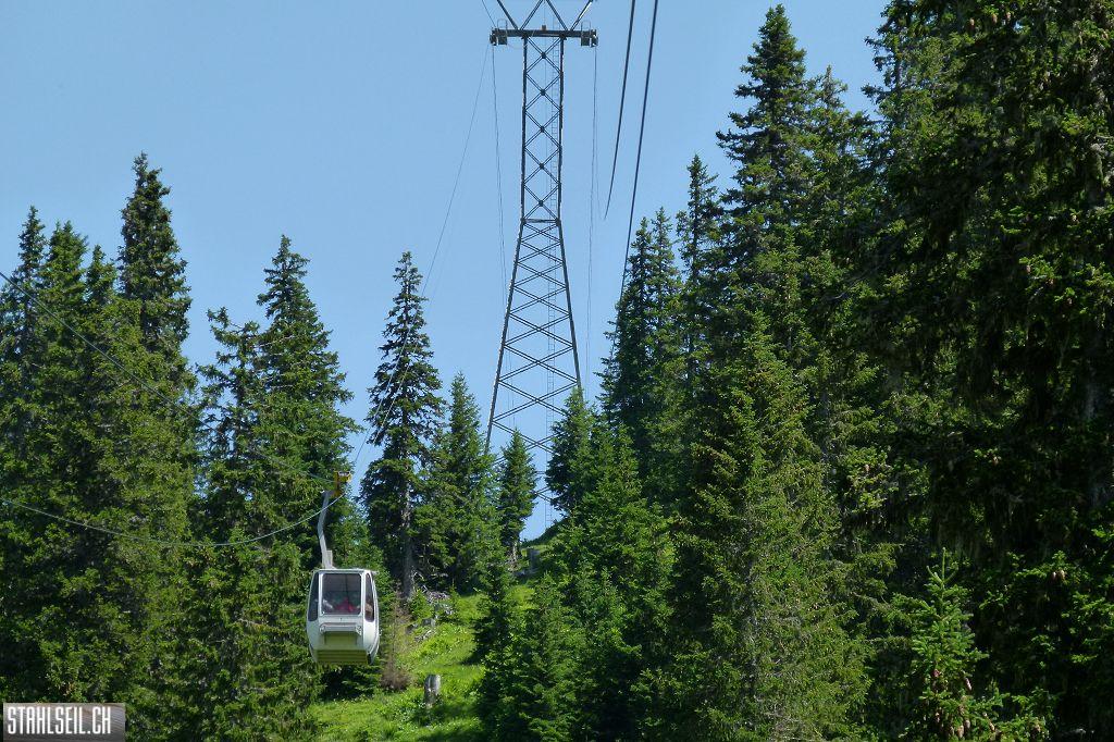 k-P1390035.JPG