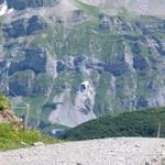k-P1390062.JPG