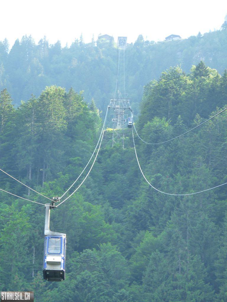 k-P1400559.JPG