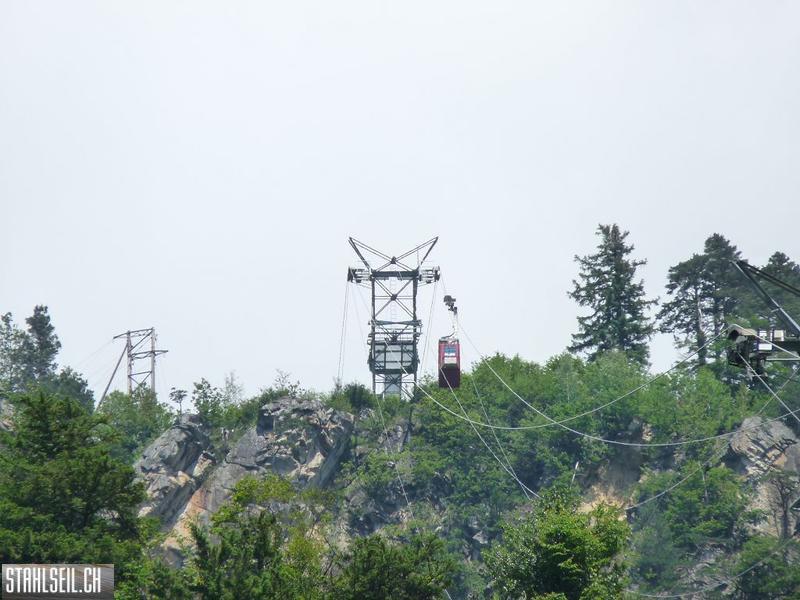 k-P1390650.JPG