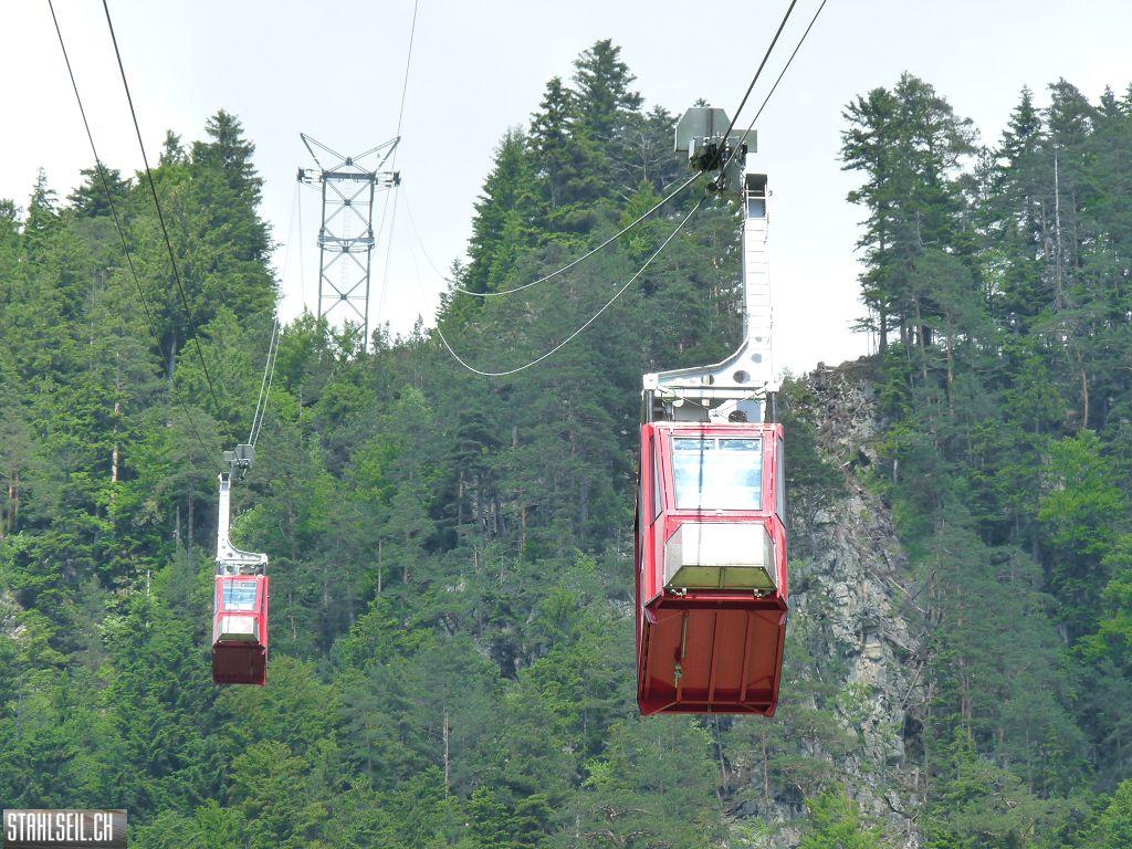 k-P1390698.JPG