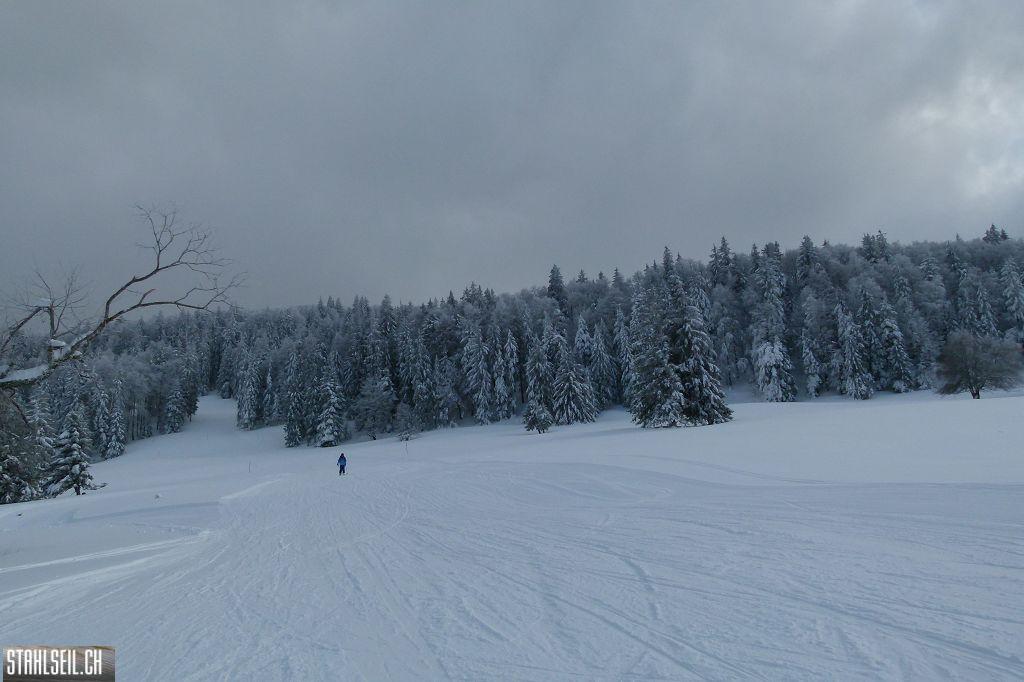 k-P1280888.JPG