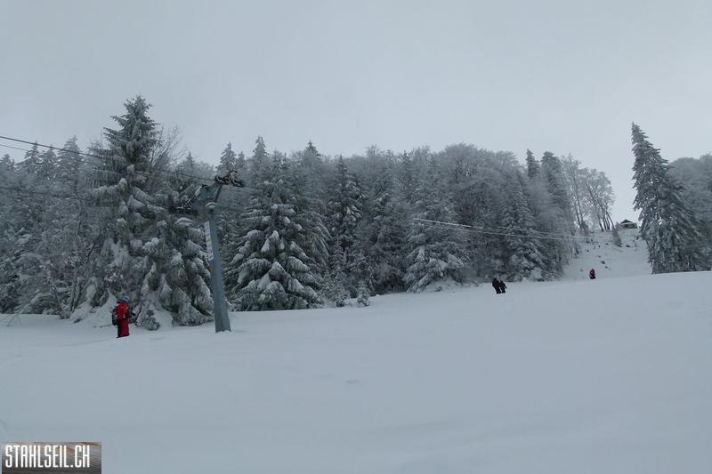 k-P1280759.JPG