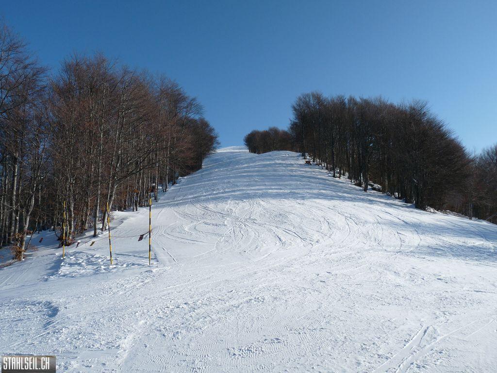 k-P1240093.JPG