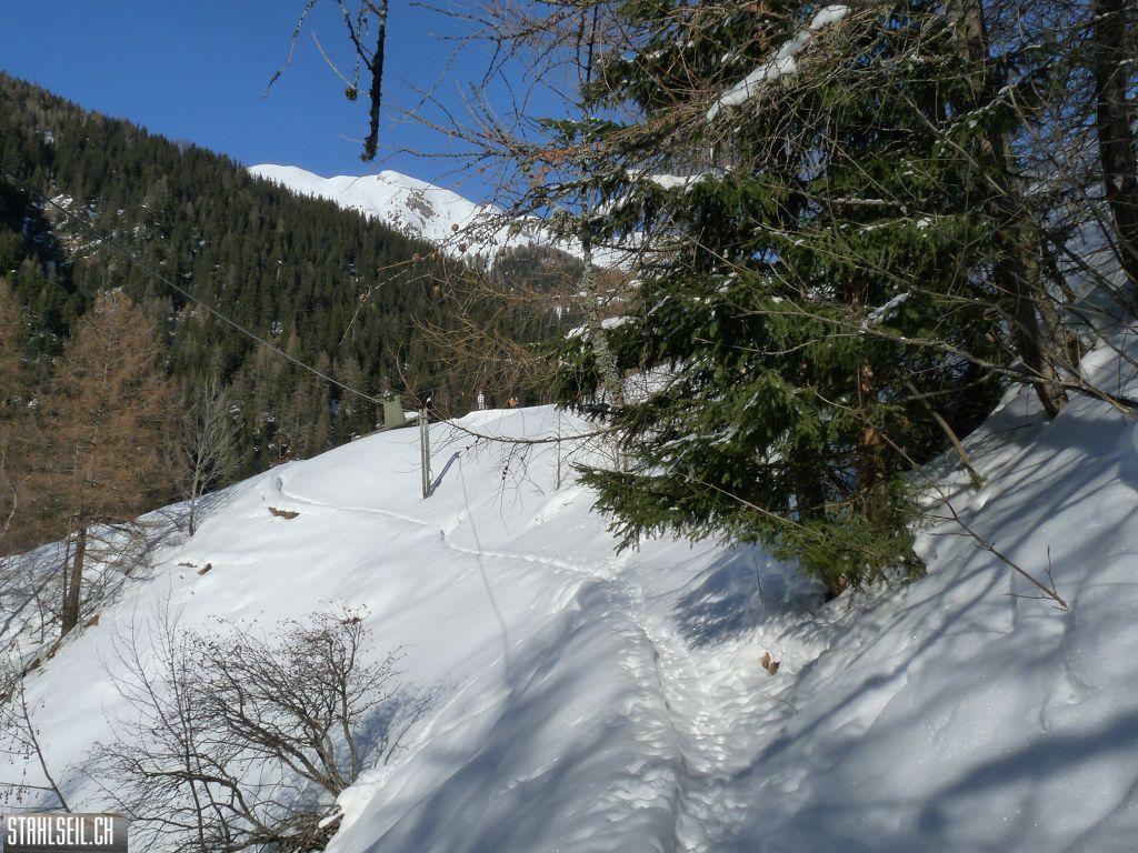 k-P1290716.JPG