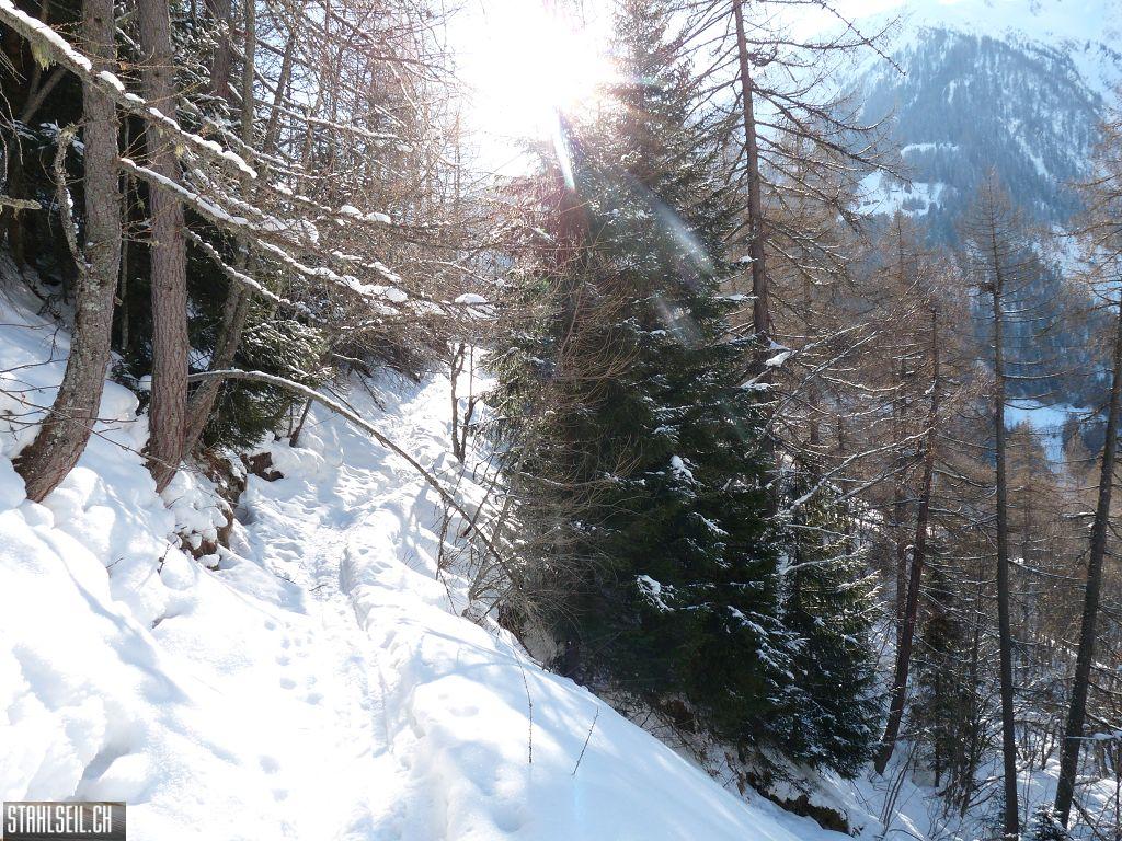 k-P1290718.JPG