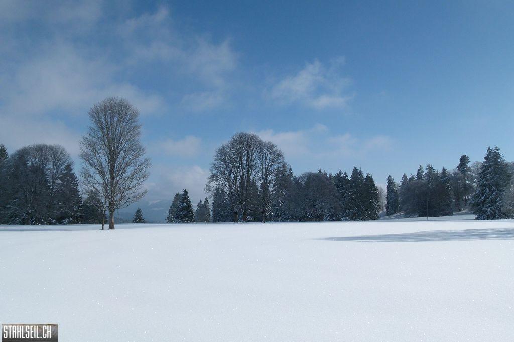 k-P1460221.JPG