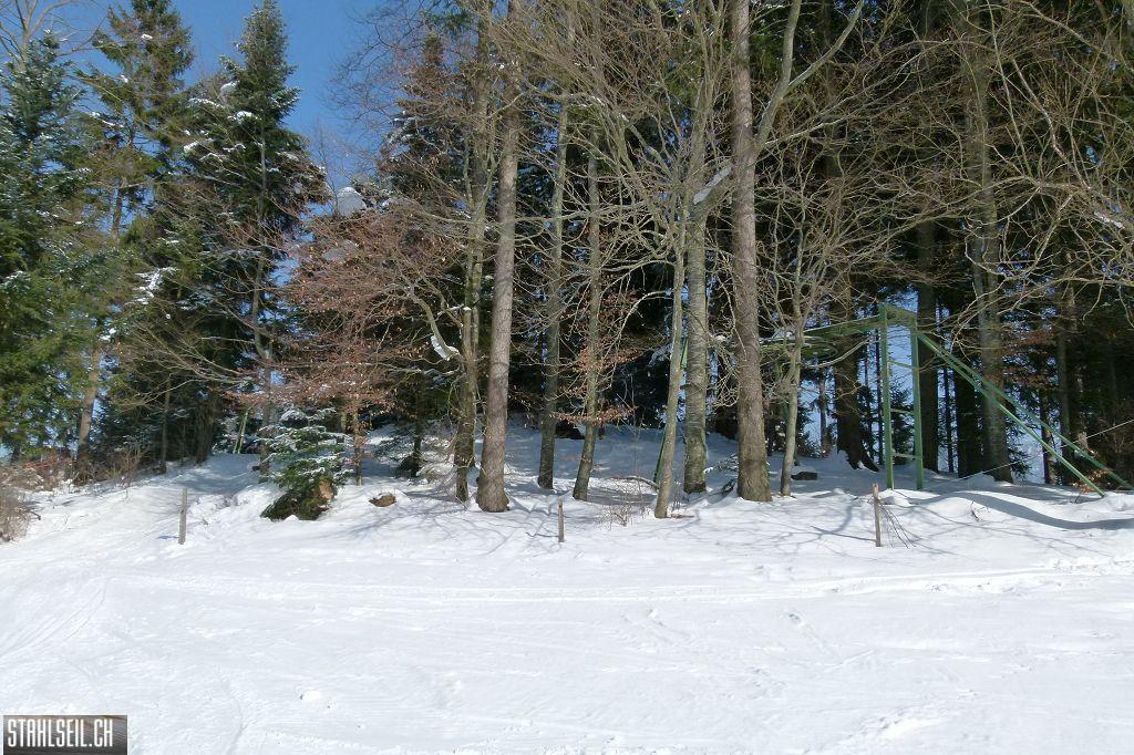 k-P1460647.JPG
