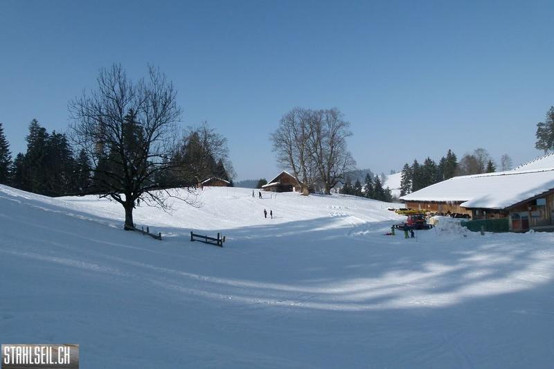 k-P1460658.JPG