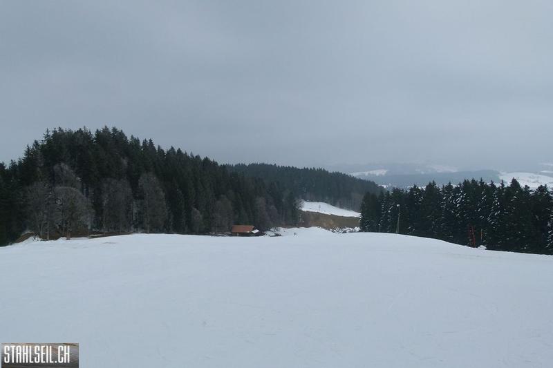 k-P1460894.JPG