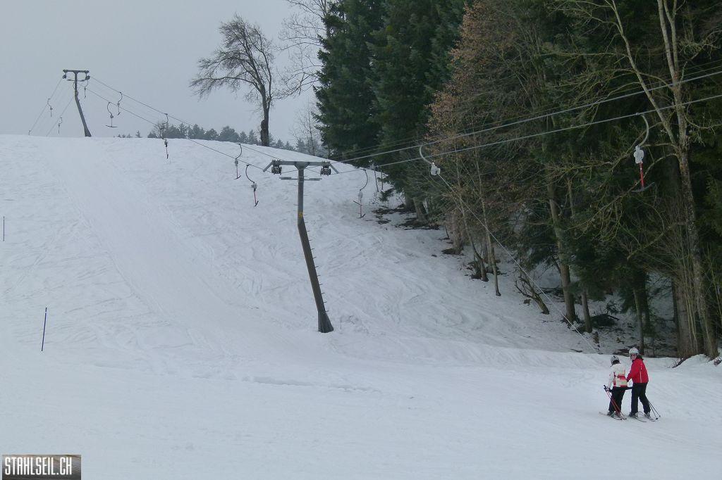 k-P1460997.JPG