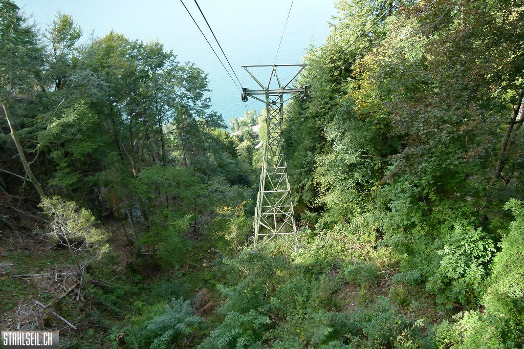 k-P1420374.JPG