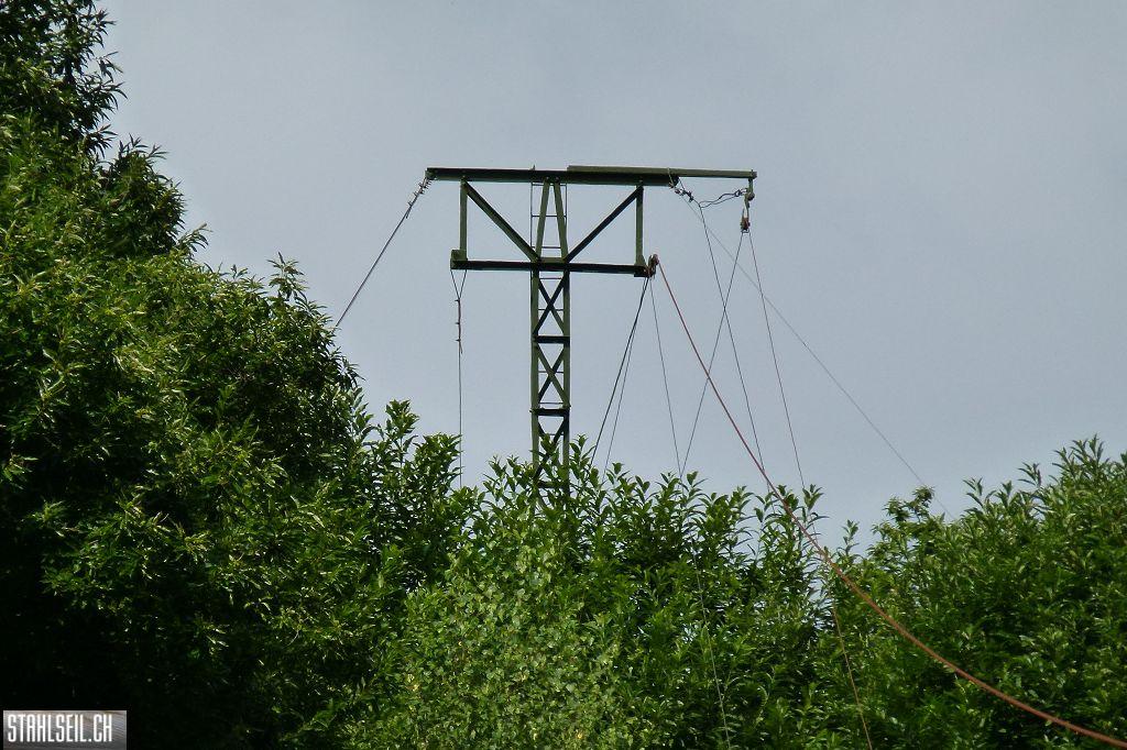 k-P1380085.JPG