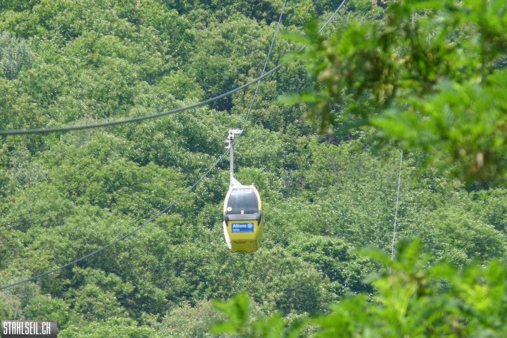 k-P1370826.JPG