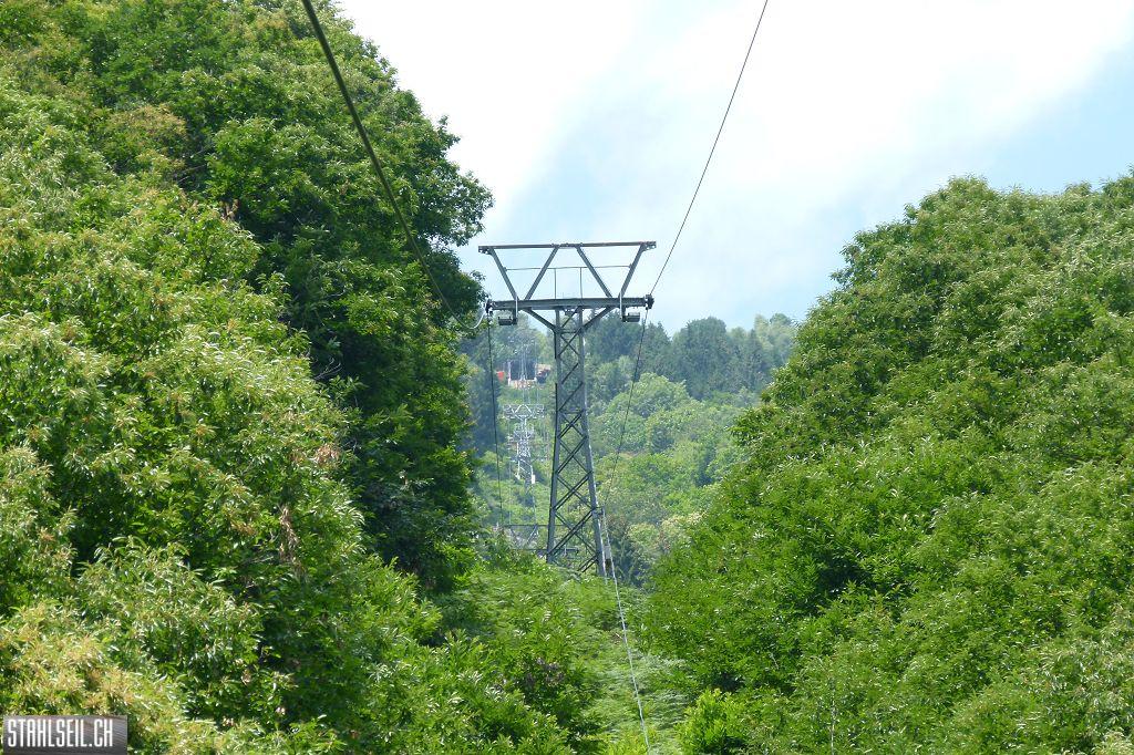 k-P1370841.JPG