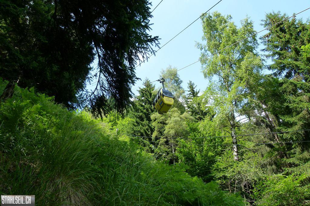 k-P1370915.JPG