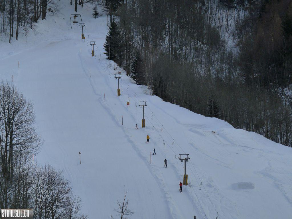 k-P1250019.JPG