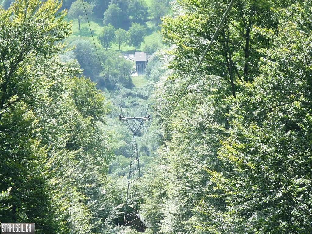 k-P1450807.JPG