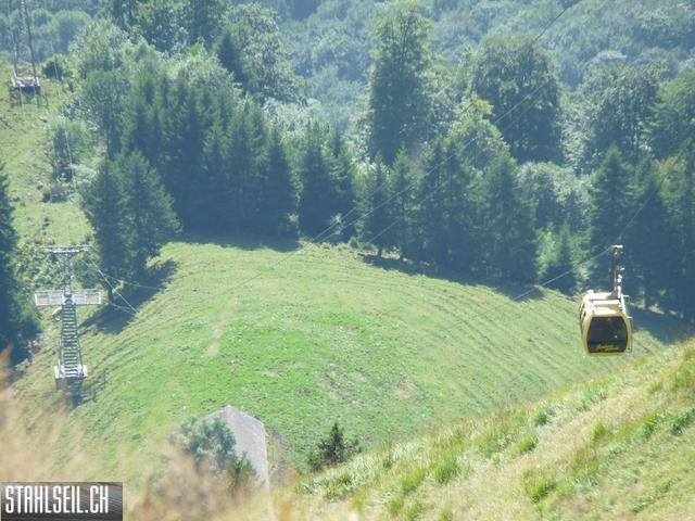 k-P1450881.JPG