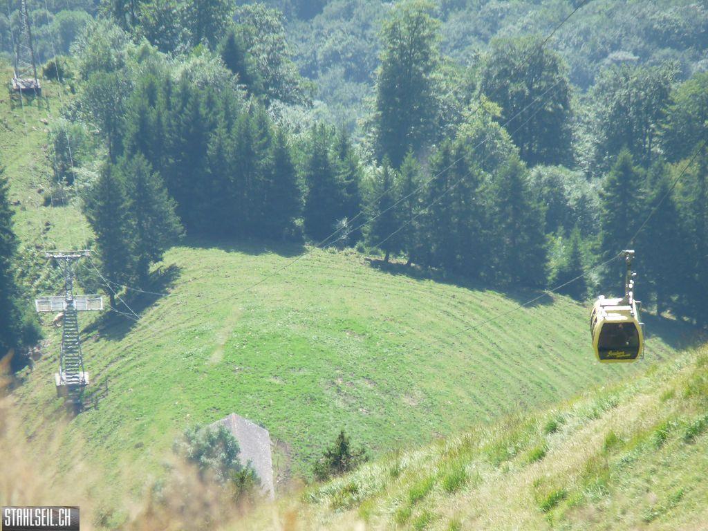 k-P1450881.JPG