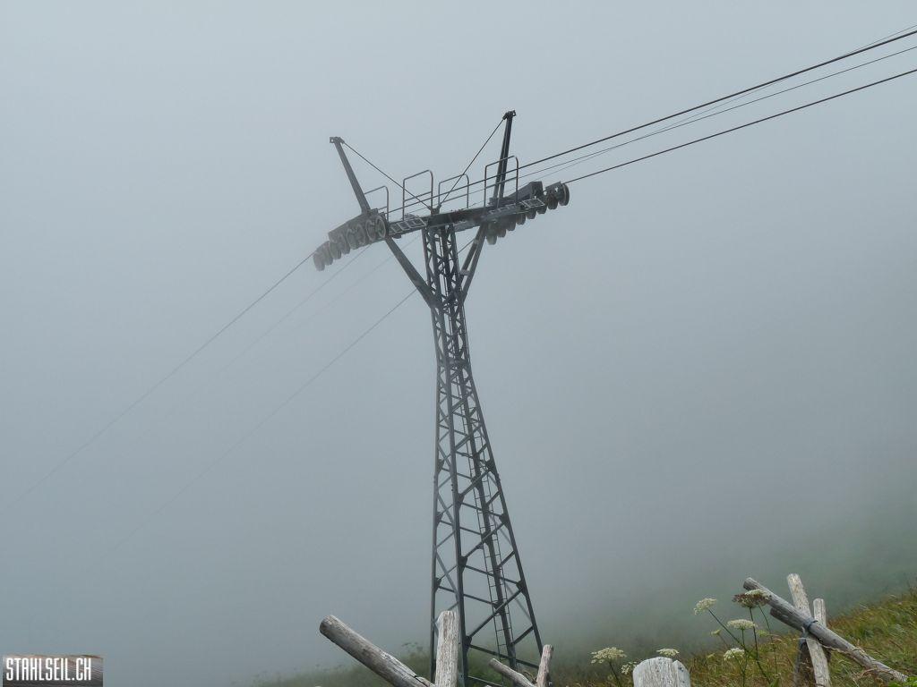 k-P1450918.JPG