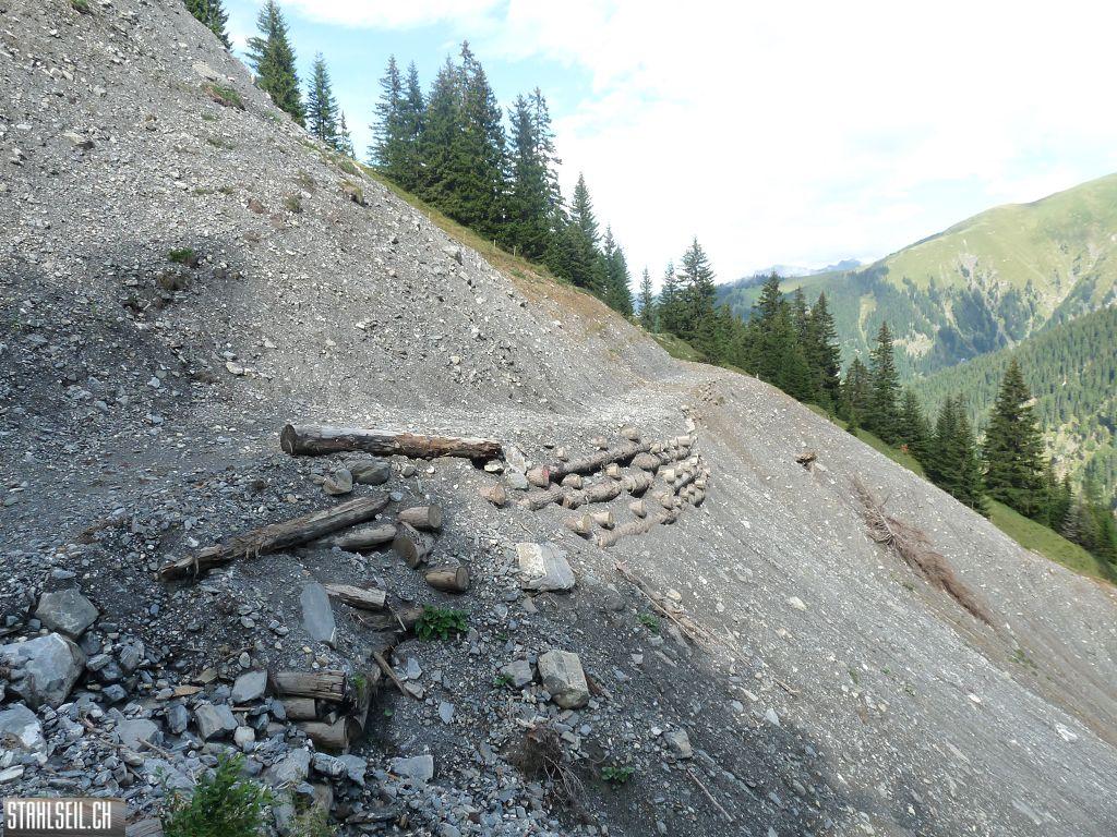 k-P1440362.JPG