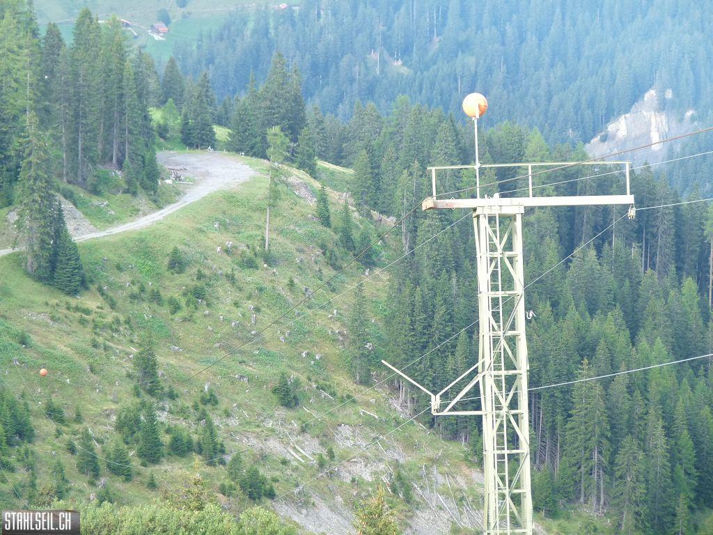k-P1440431.JPG