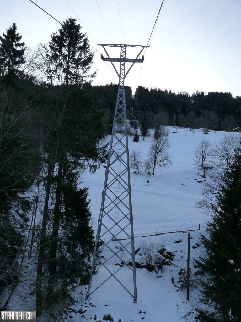 k-P1260412.JPG
