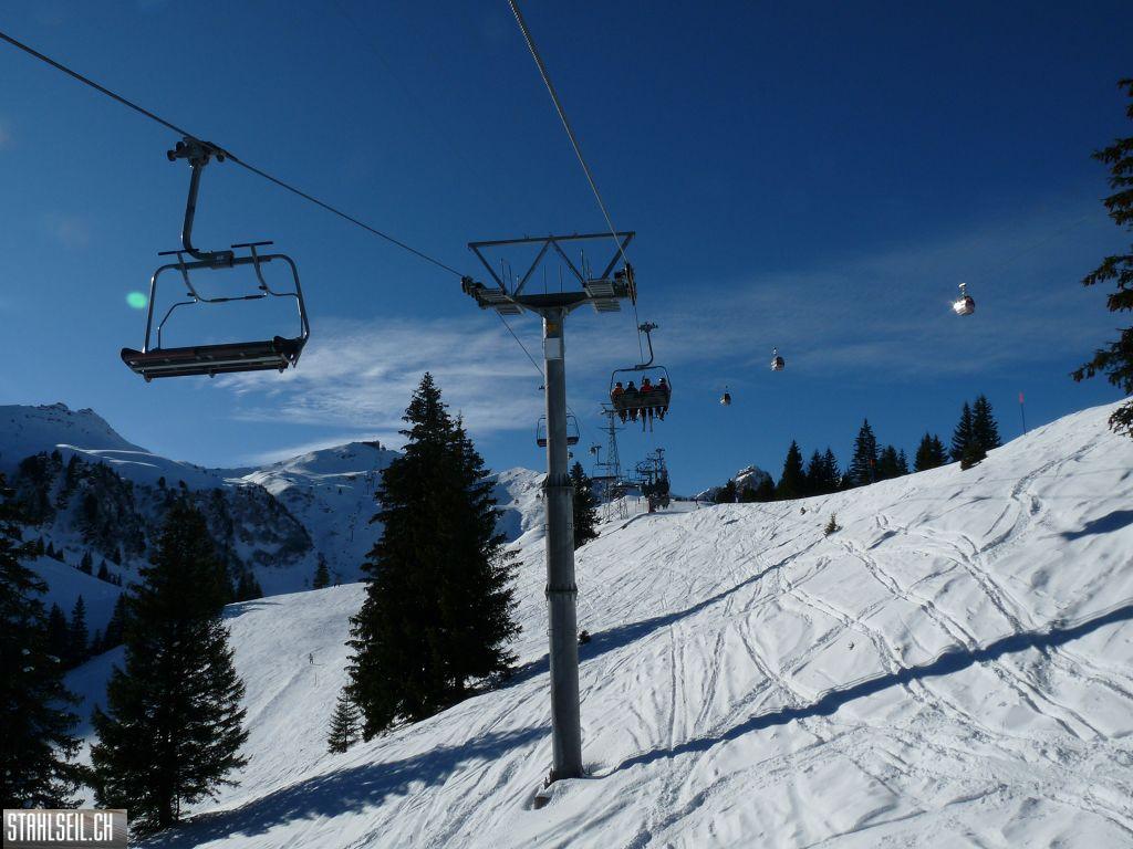 k-P1260125.JPG