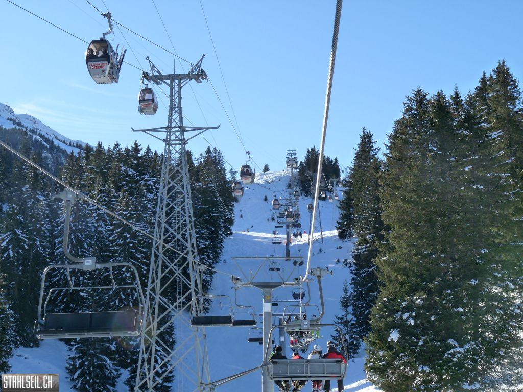 k-P1260090.JPG