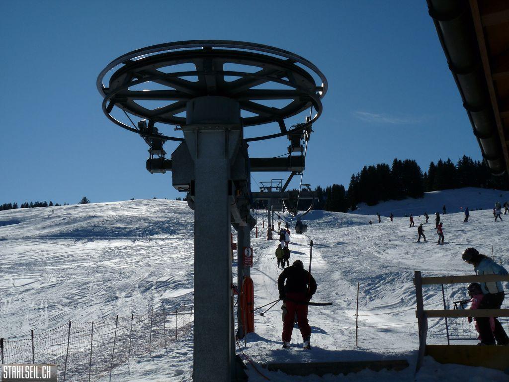 k-P1260075.JPG