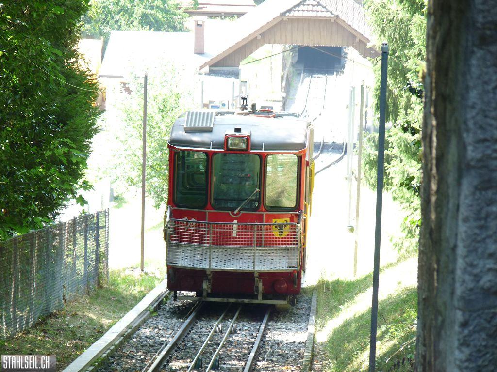 k-P1160273.JPG