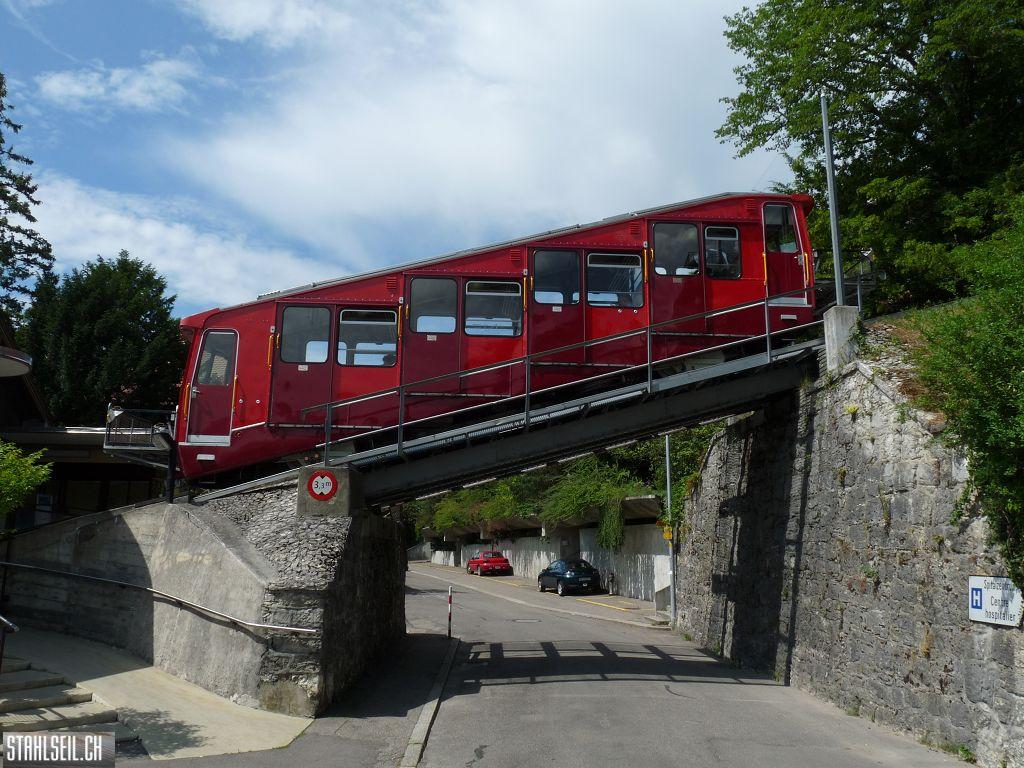 k-P1160317.JPG