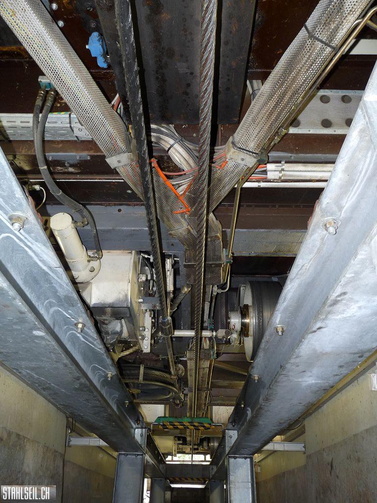 k-P1160420.JPG