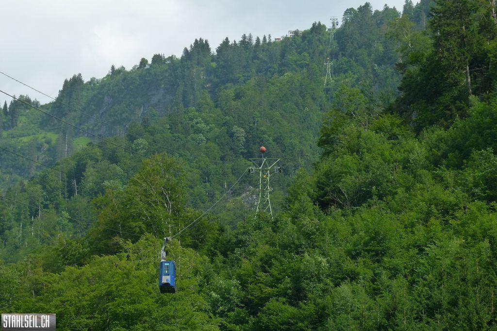 k-P1370228.JPG