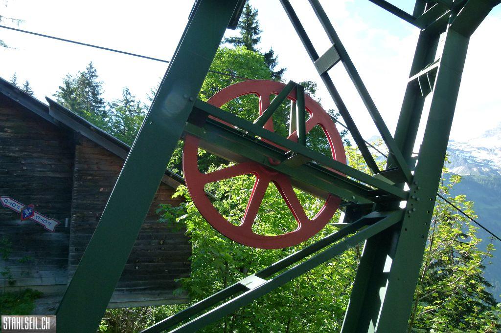 k-P1350027.JPG