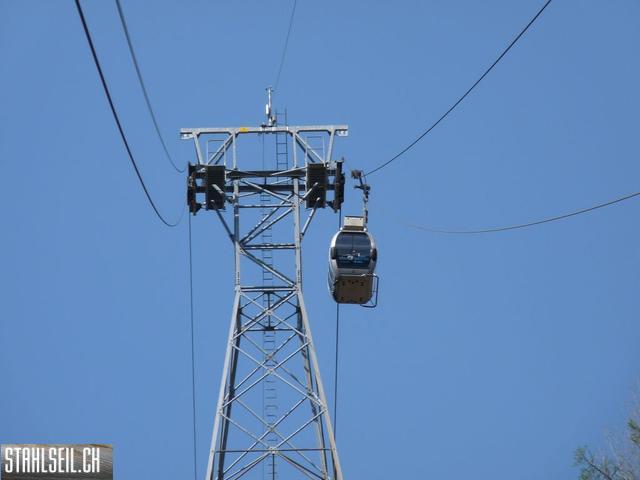 k-P1130222.JPG