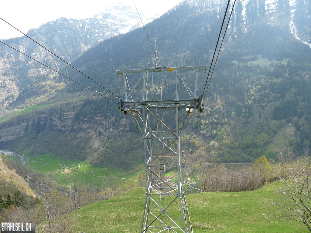 k-P1130235.JPG