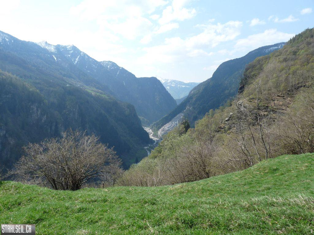k-P1130247.JPG