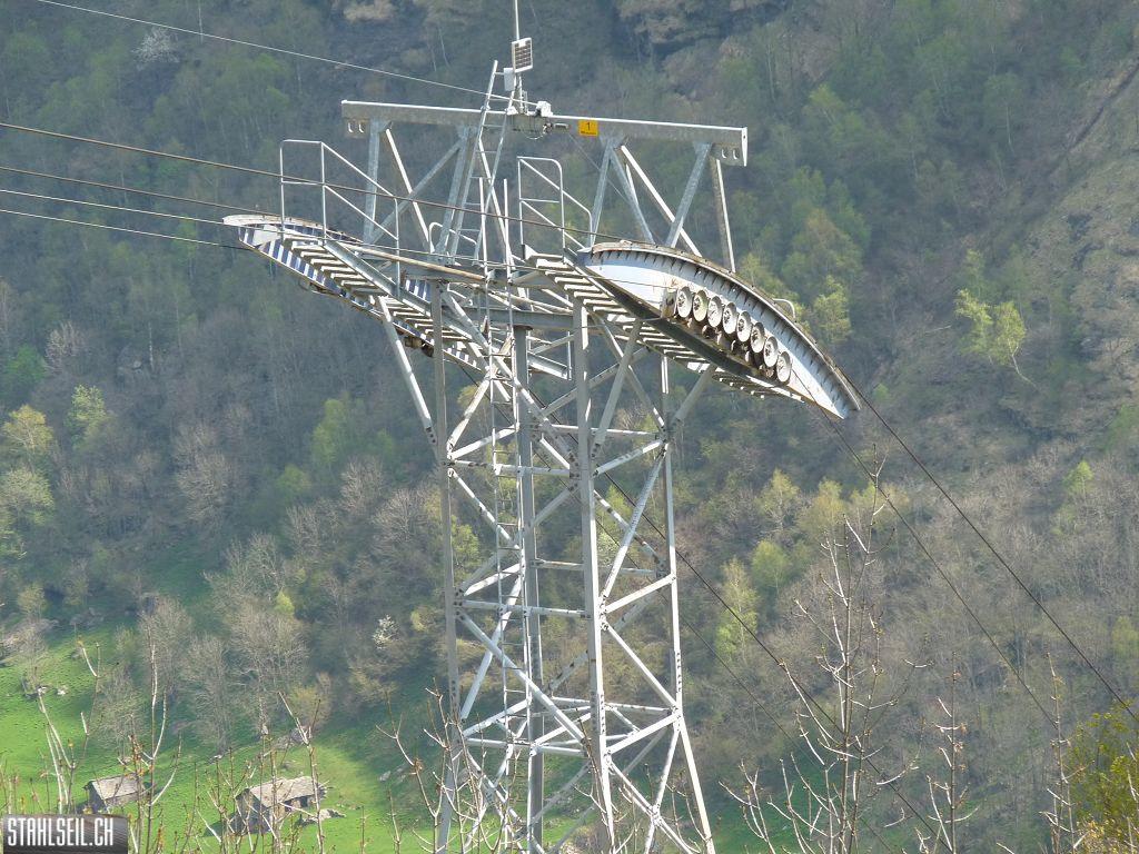 k-P1130248.JPG