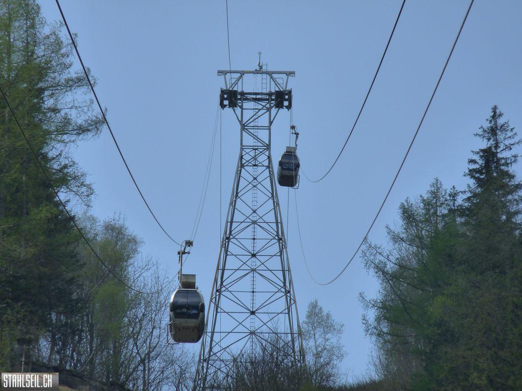 k-P1130354.JPG