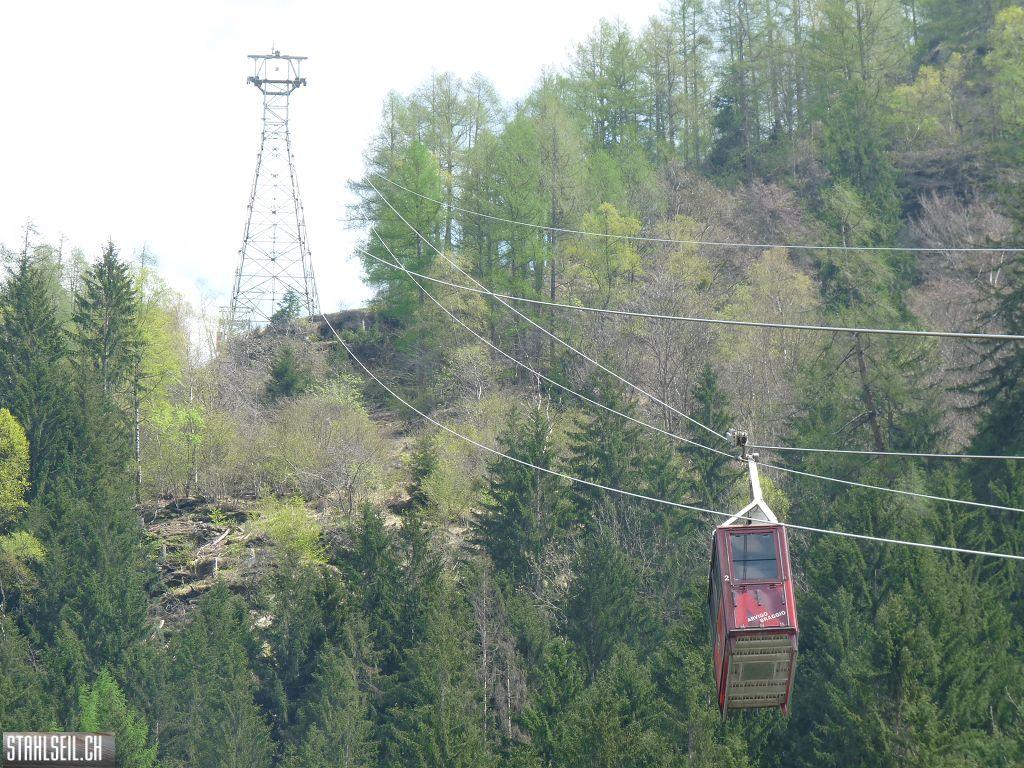 k-P1130384.JPG