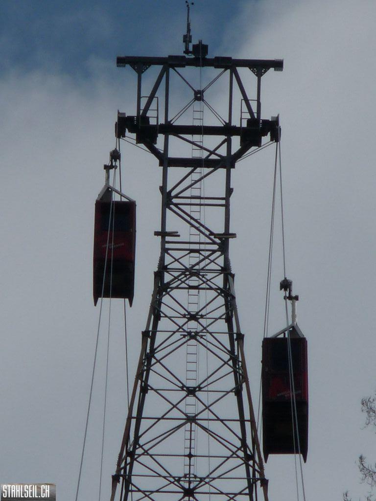 k-P1130393.JPG