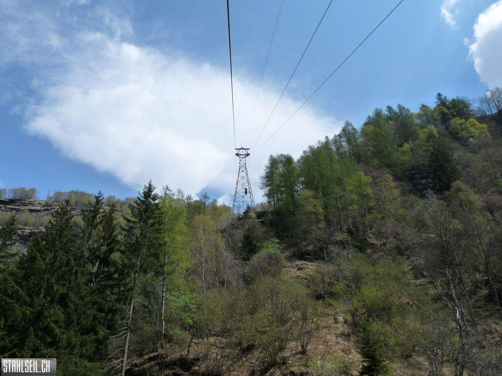 k-P1130420.JPG