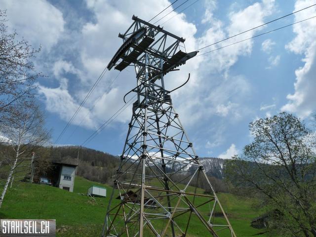 k-P1130456.JPG
