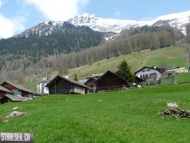k-P1130475.JPG