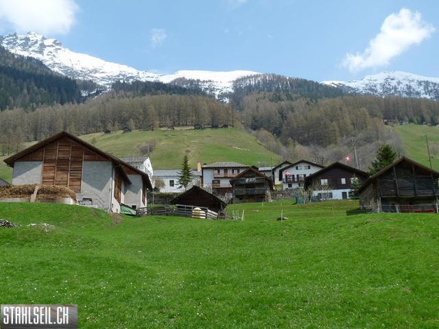 k-P1130477.JPG