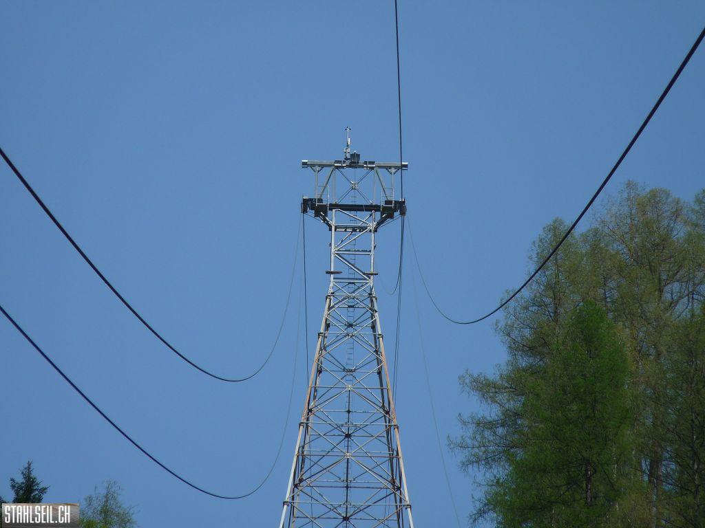 k-P1130509.JPG